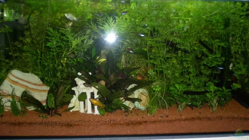 12.08.08 ca. 2,5 Monate