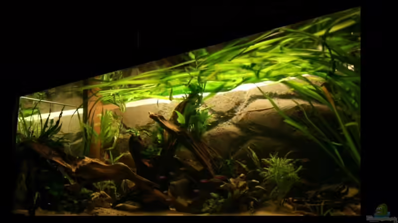 12.08.10 von lumpi (15)