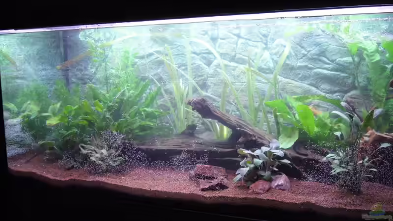 12.08.2010 von Michael Hermes (2)