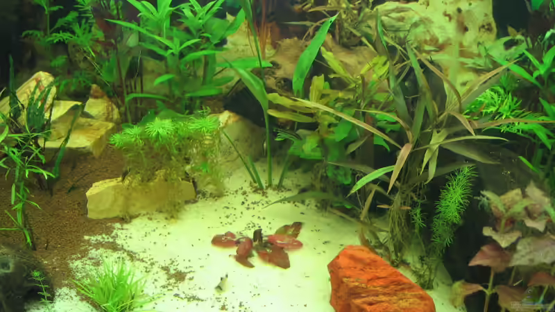 12.09.12 Mitte von Zodiack (11)