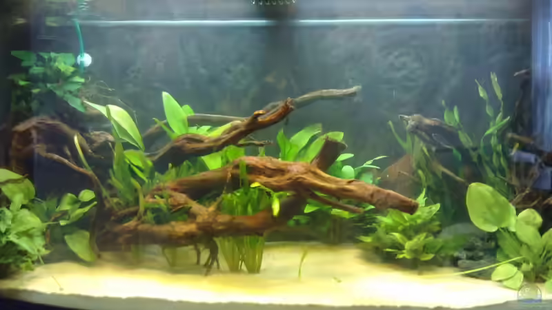 12.09.2011 von Koehler (7)