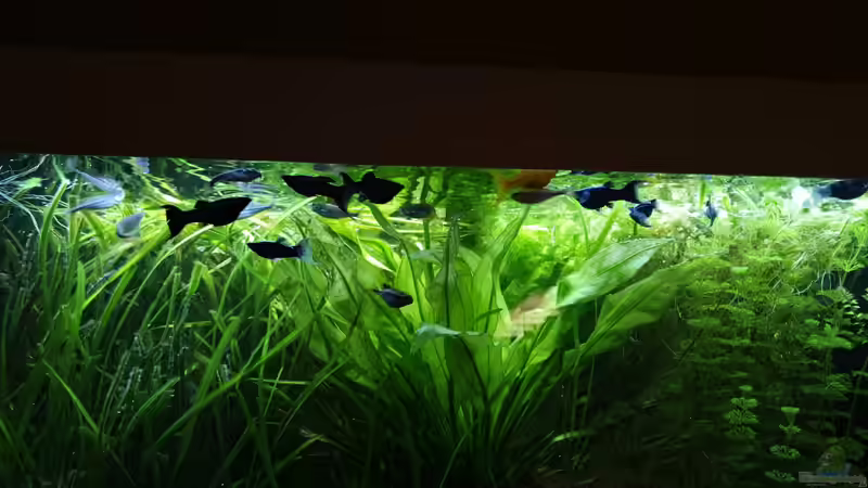 12.09.2019 _1  von Pegnitz (17)