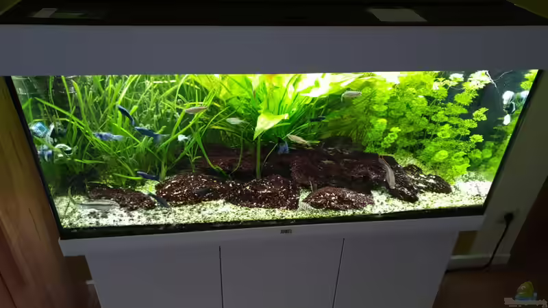 12.09.2019_2 von Pegnitz (18)