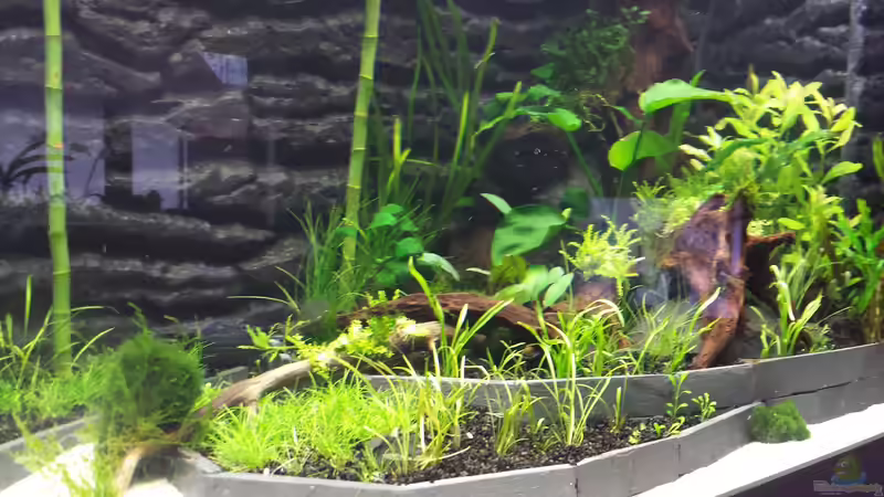 12.09 von sonic85 (15)