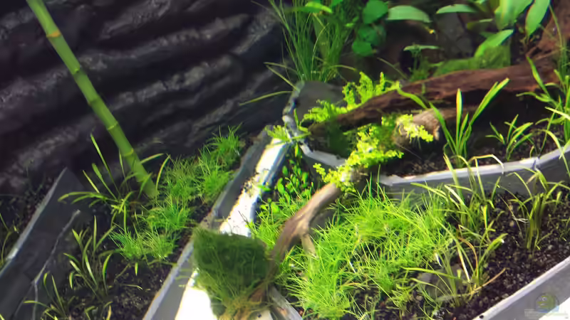 12.09 von sonic85 (19)