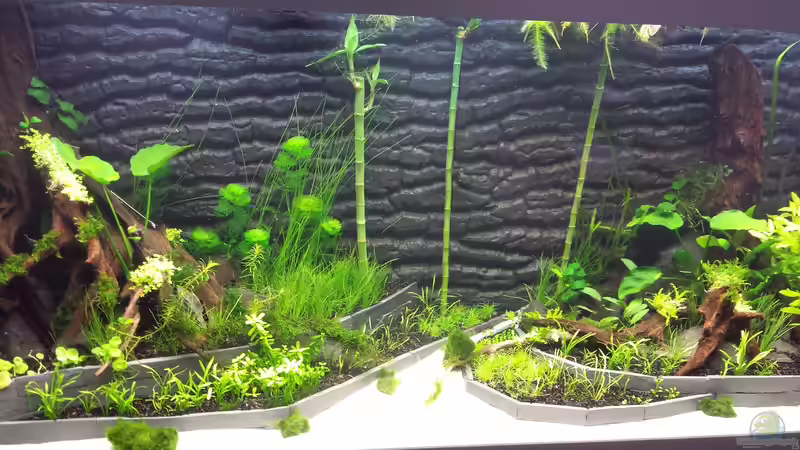 12.09 von sonic85 (22)