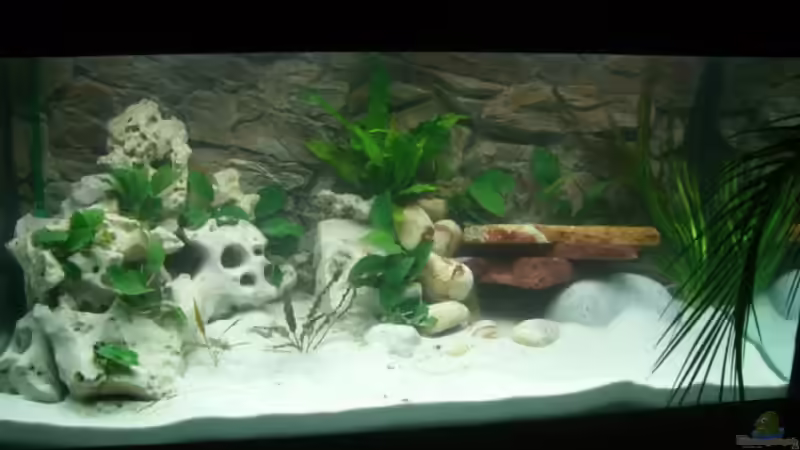 12.1.07 von Henni Dampf (2)