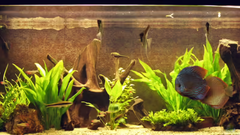 12.10.08 von Klaus Kastl (2)