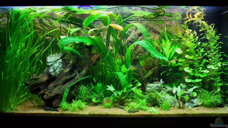 12.10.2011 von Springer (14)