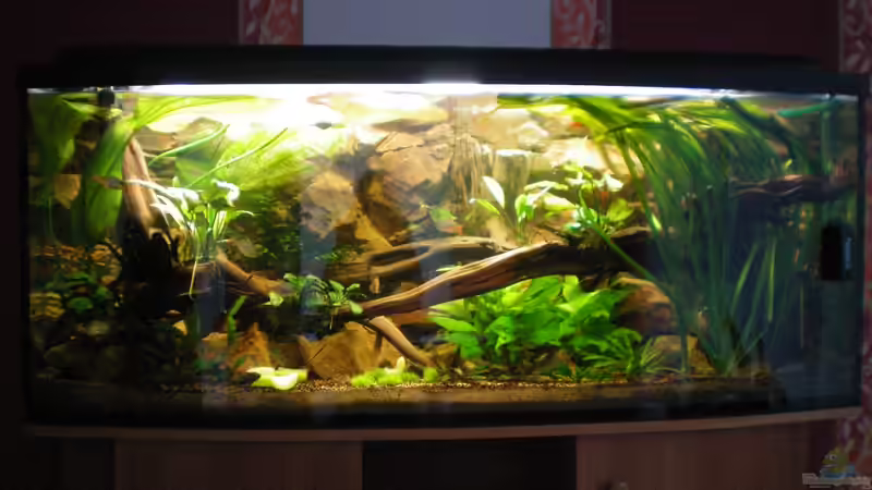 12.10.2012 von Falk Bellmann (1)