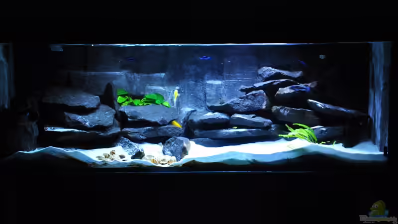 12.11.2013 von DominikZ (2)