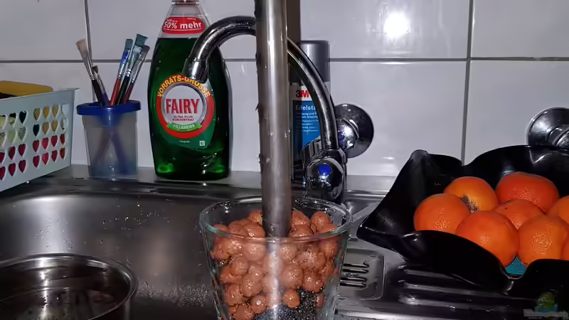 12.11.2018 Glas mit Blähton aufgefüllt. von Kevin Engelsberger (28)