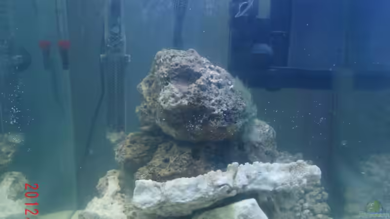 12.12.12 von Jademeister (5)