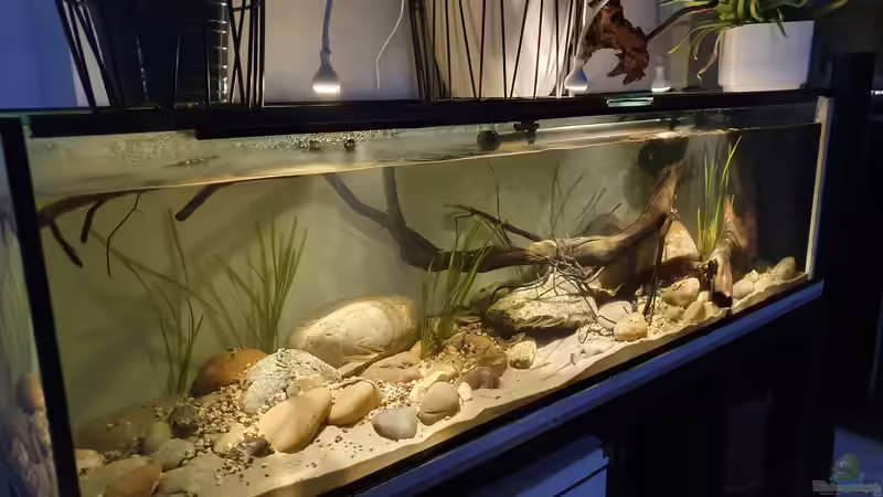 12.12.19 von Aqua fan (8)