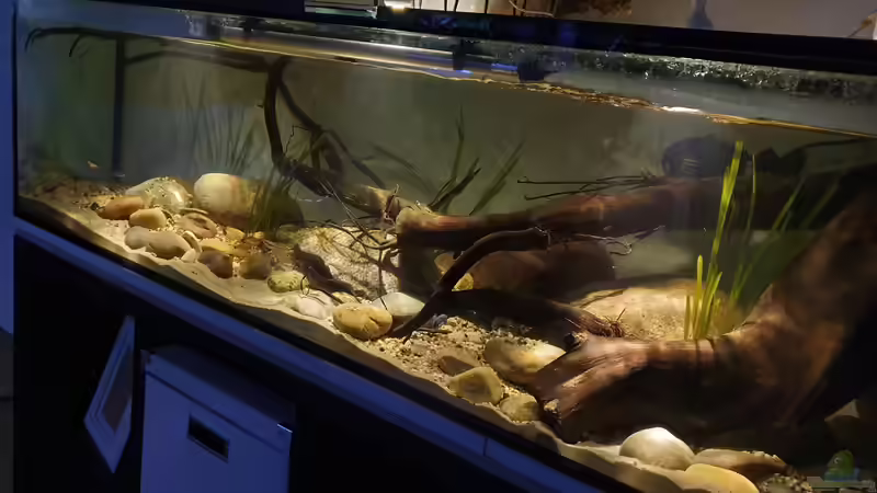 12.12.19 von Aqua fan (9)