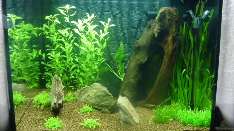 12.12.2012 von Mario Bösch (2)