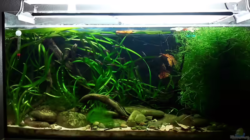 12_2012 von *fly_high* (5)