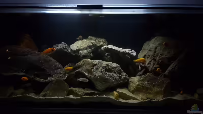 12.2017  von Mel (8)