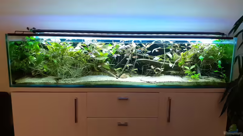 12/2019 von Berlin42 (38)