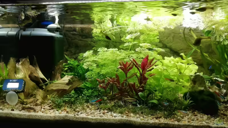 12/2020 von KleinerFisch (10)