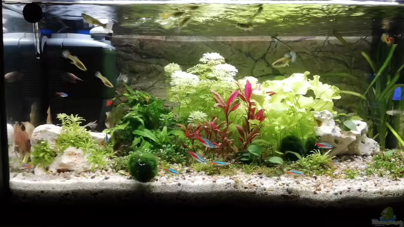 12/2020 von KleinerFisch (9)