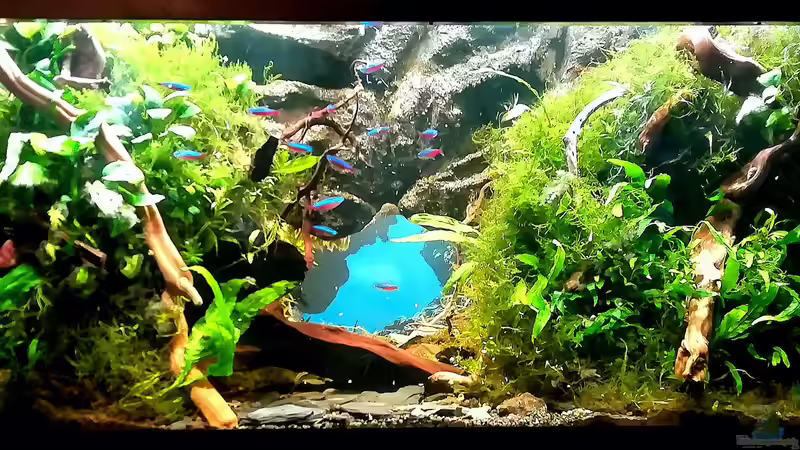 12.4.2020 von Bermuda 3eck (3)