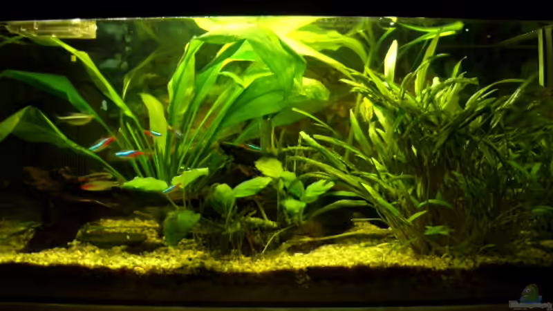 12.5.08 von Julian Garnisch (2)