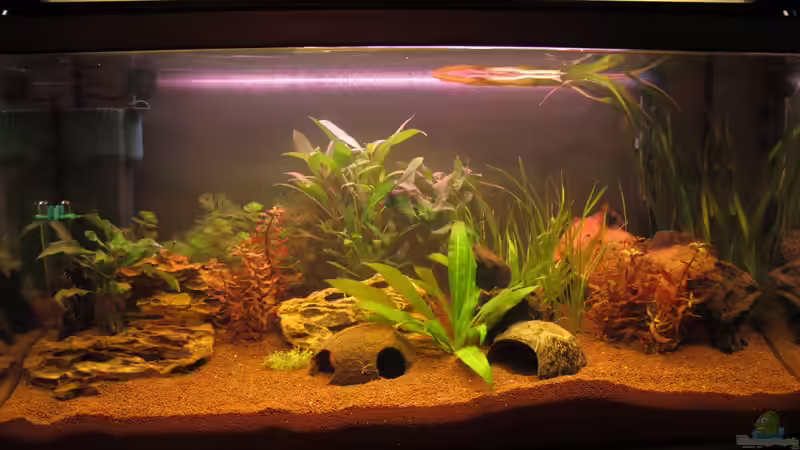 12.5.2012 von Locke1992 (5)