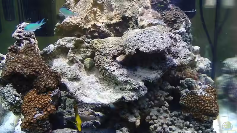 12.9.06 von René Geisler (8)