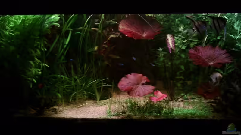 12.Mai 2008 von Sebastian Kunzmann (1)