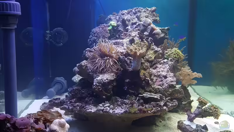 120cm in die Tiefe von Kai Heermann (11)