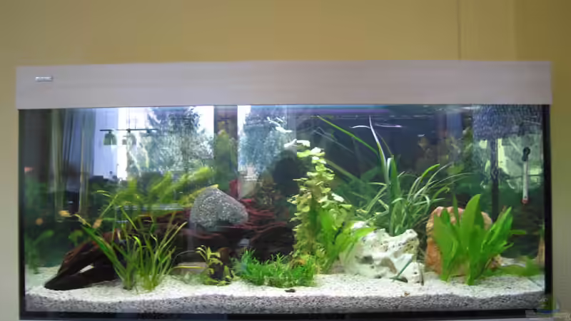 120x40x50 Stärke 8mm von Peter Michaelis (2)