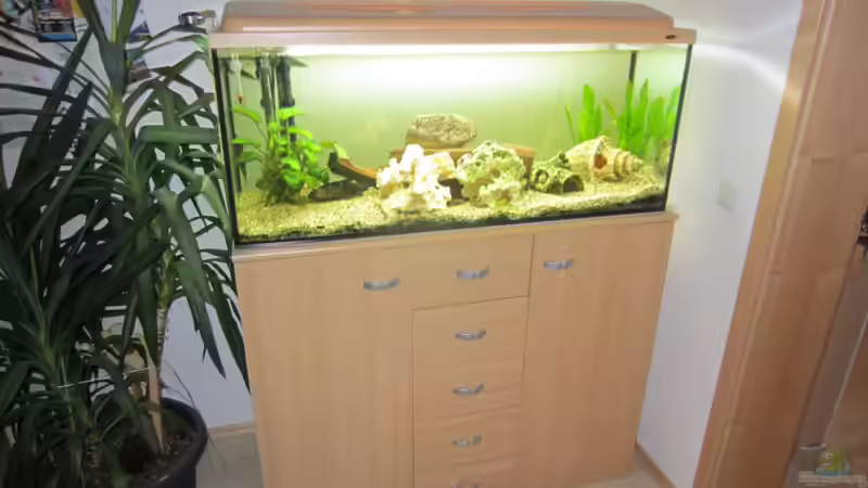 120x40x50 von Wörner32 (2)