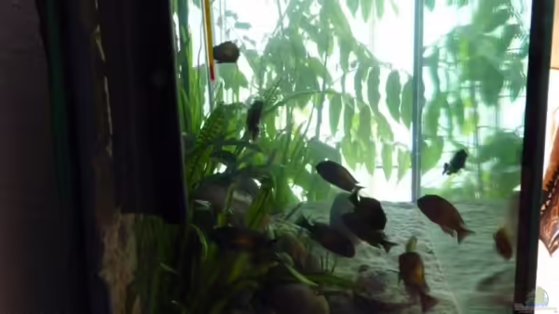 120x50x70 420l von H.K-Mika (2)