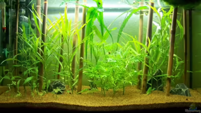 126 Liter Indien (Tag 53)