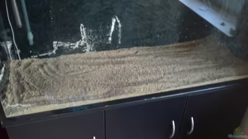 12Kg Dennerle Depont Mix über den Bodenfluter von Pipp Amerika (3)