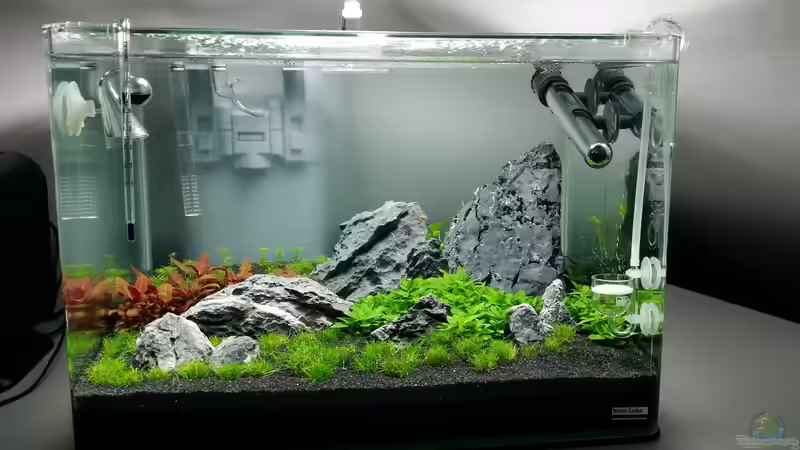 12ter Tag von Kai-Uwe M (4)