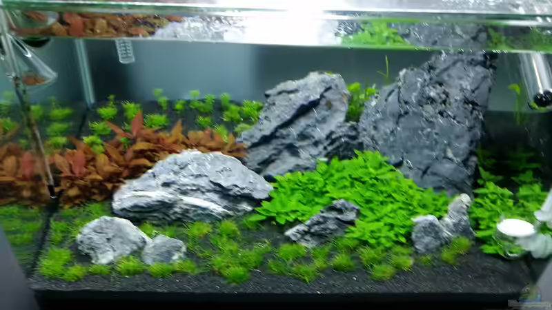 12ter Tag von Kai-Uwe M (5)