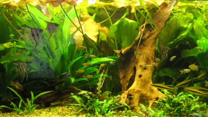 13.01.12 von Thorbenhendrik (13)