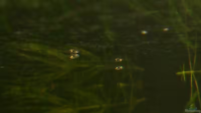 13.01.13 von Stephan Groß (13)