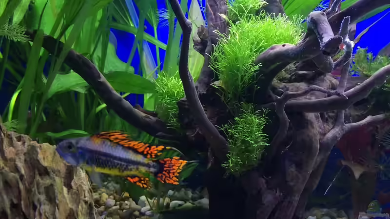 13.01.16 von .Andreas. (115)