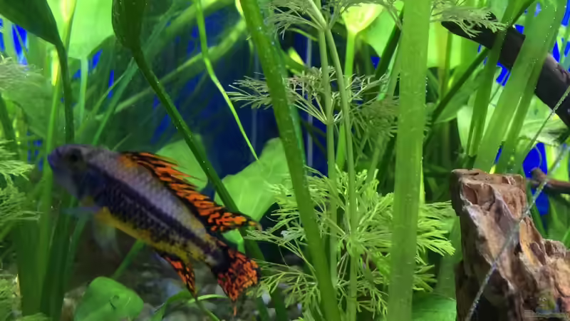 13.01.16 von .Andreas. (116)