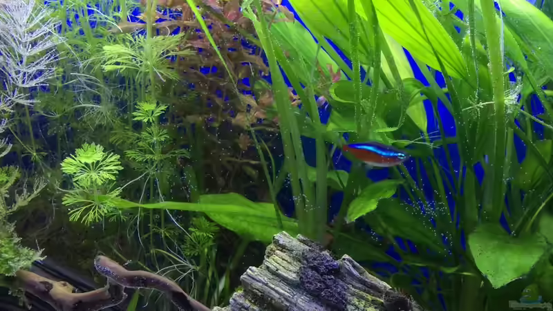 13.01.16 von .Andreas. (35)