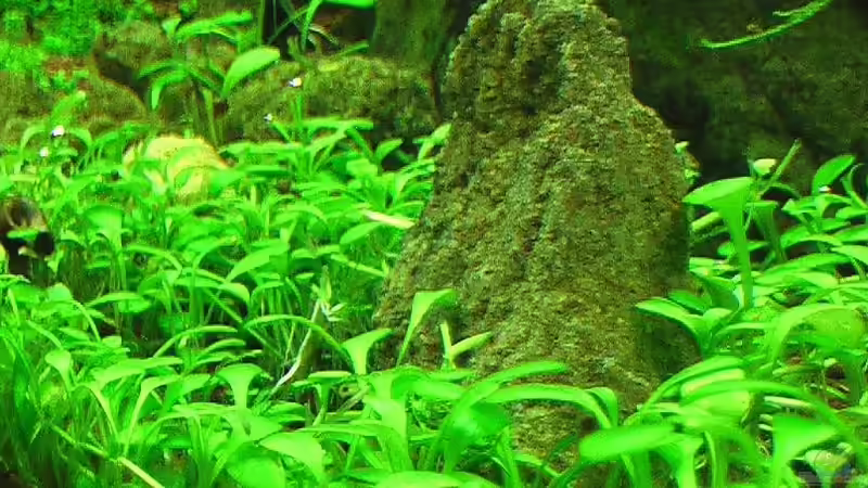 13.02.2011 von *Lucie* (14)