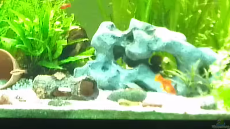 13.02.2012 von baw (5)