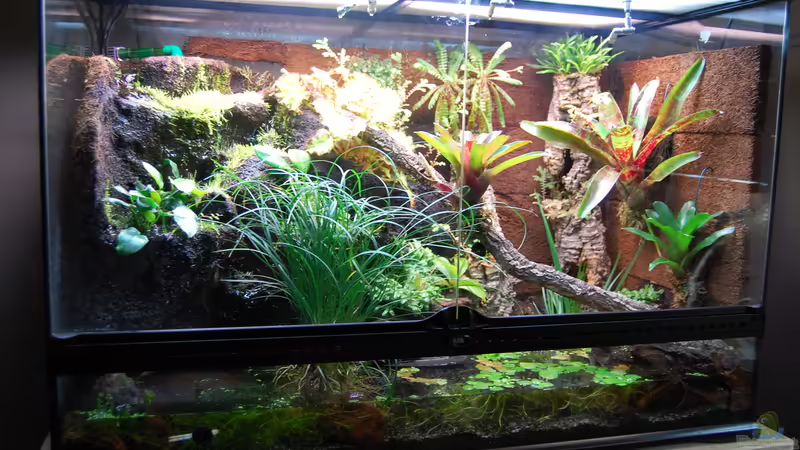 13.02.2014 von Junglist (29)