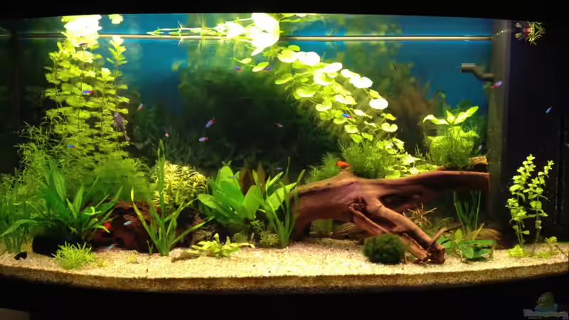 13.02.2014 von Oskar (7)