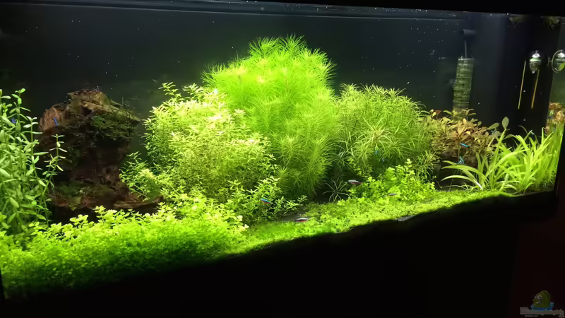 13.03.14 von Terence Hill (12)