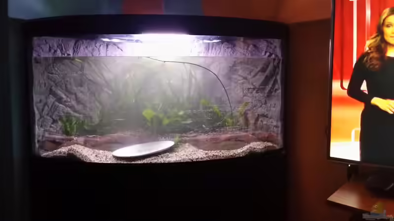 13.03.2015 einrichten und bepflanzen von Steffen und Felix (11)