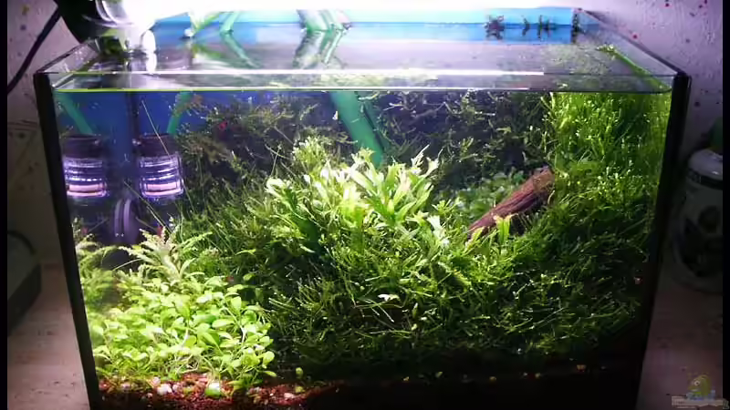 13.04.06 von Ingrid Jung (9)